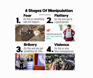 What are the 4 stages of manipulation?