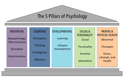What are the 4 steps of psychology?