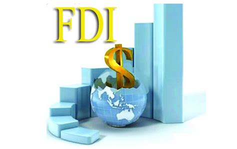 What are the 4 types of FDI?