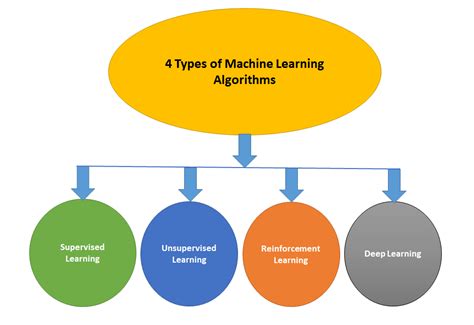 What are the 4 types of algorithm?