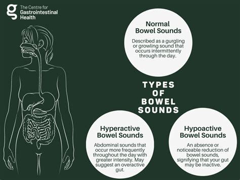 What are the 4 types of bowel sounds?