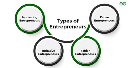 What are the 4 types of entrepreneurship?