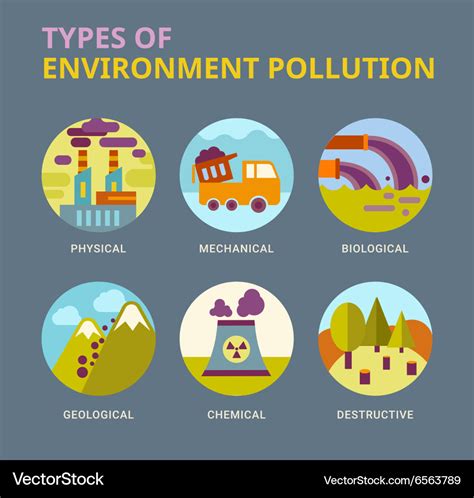 What are the 4 types of environment?
