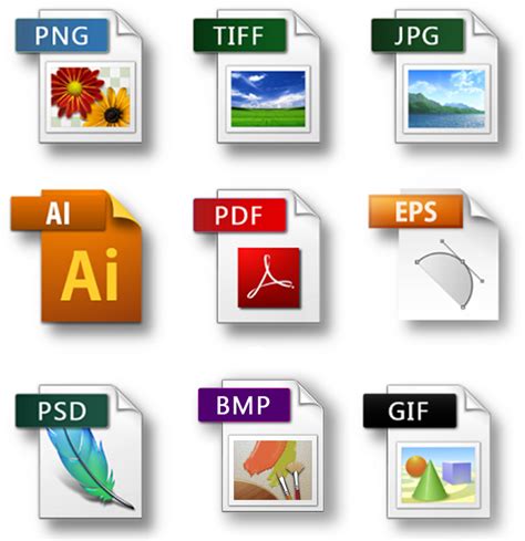 What are the 4 types of file formats?