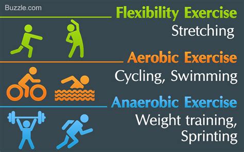 What are the 4 types of fitness?