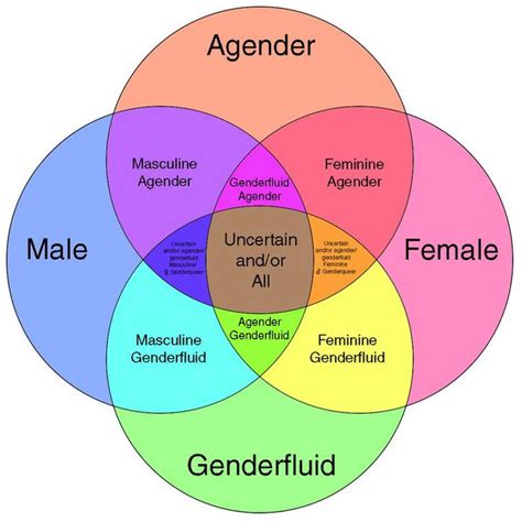 What are the 4 types of gender?