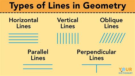 What are the 4 types of lines?