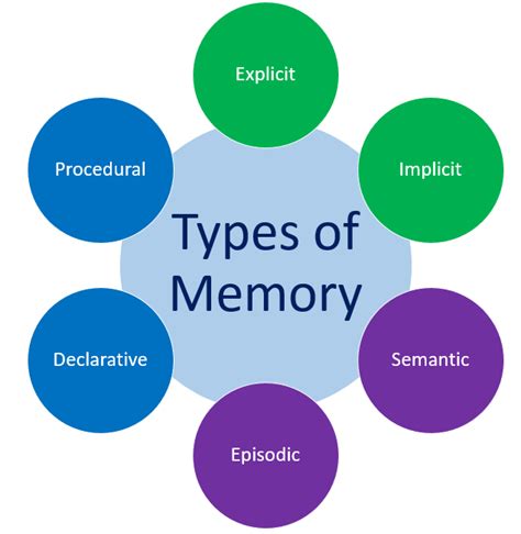 What are the 4 types of memory?