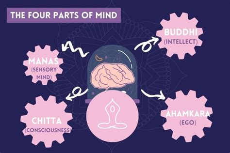 What are the 4 types of mind in yoga?