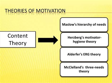 What are the 4 types of motivation theory?