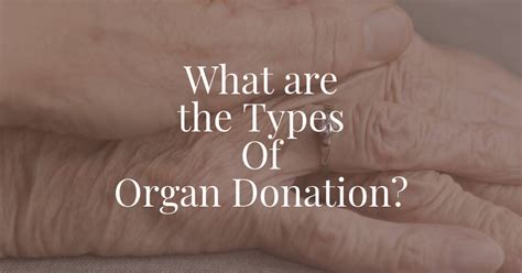 What are the 4 types of organ donation?