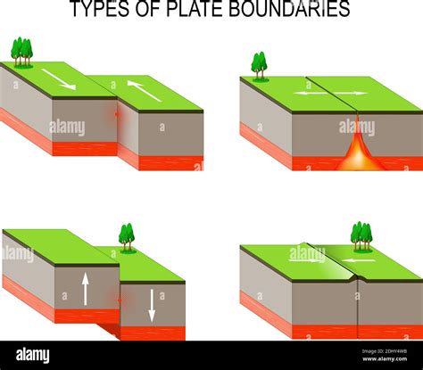 What are the 4 types of plates?