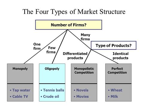 What are the 4 types of product?