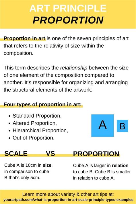 What are the 4 types of proportion?