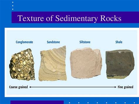 What are the 4 types of sedimentary structures?
