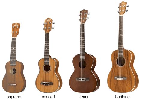 What are the 4 types of ukulele?