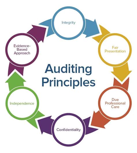 What are the 5 C's of audit?