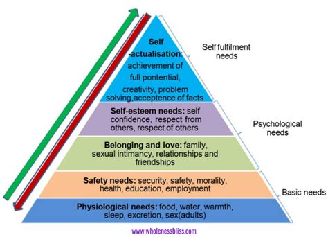 What are the 5 basic needs of man?