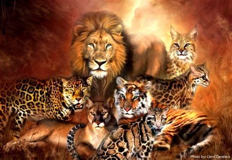 What are the 5 big cats?