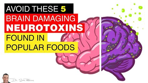 What are the 5 brain neurotoxins?