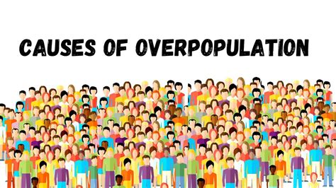 What are the 5 causes of overpopulation?