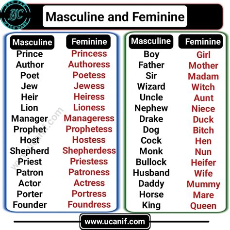 What are the 5 genders in English?