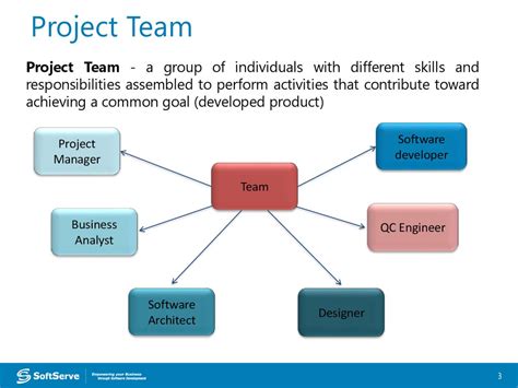 What are the 5 main roles in a project team?
