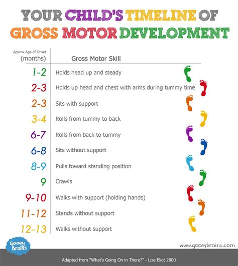 What are the 5 motor skills?