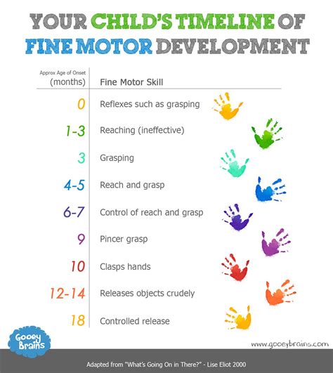 What are the 5 motor skills?