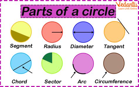 What are the 5 parts of a circle?