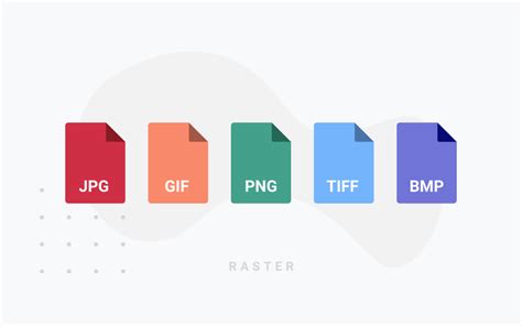 What are the 5 raster formats?