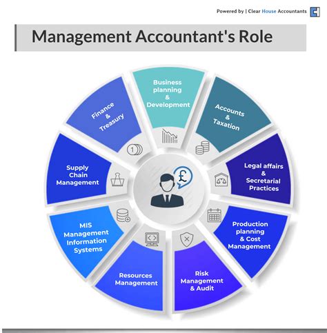 What are the 5 roles of accountant?