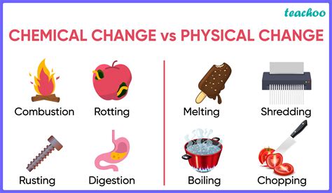 What are the 5 rules of chemical change?