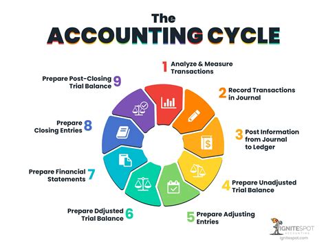 What are the 5 stages of accounting?