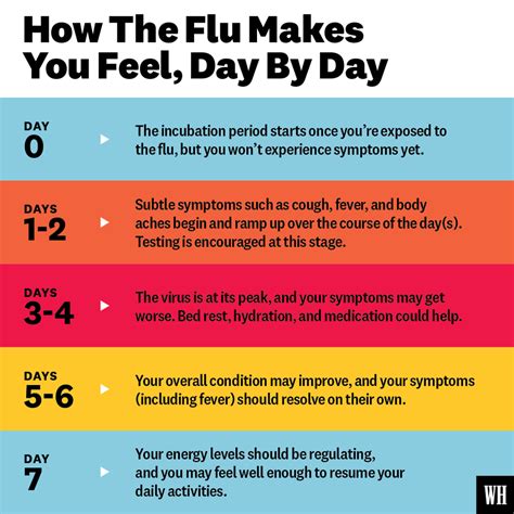 What are the 5 stages of flu?