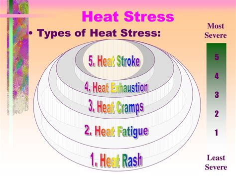 What are the 5 stages of heat stress?