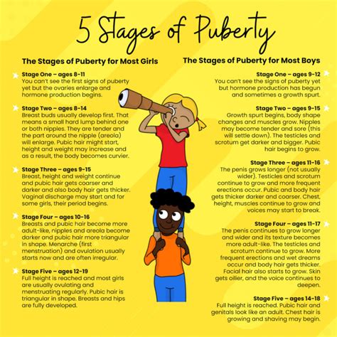 What are the 5 stages of puberty?