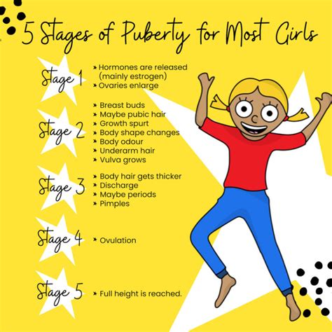 What are the 5 stages of puberty in a girl?