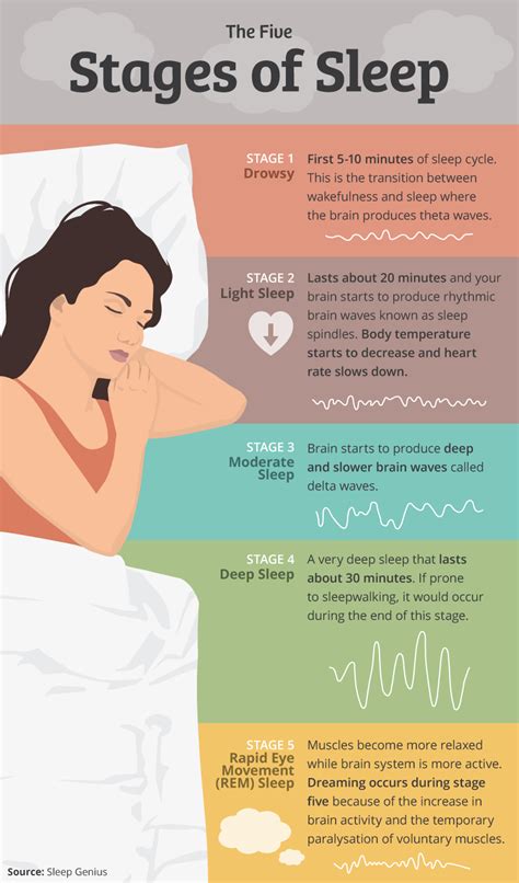 What are the 5 stages of sleep?