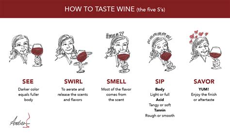 What are the 5 steps of wine tasting?