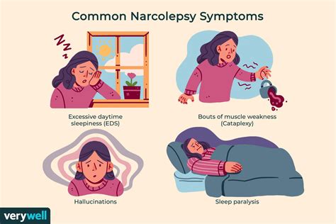 What are the 5 symptoms of narcolepsy?