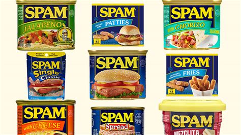 What are the 5 types of spam?