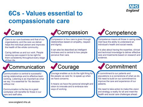 What are the 6 Cs of care?