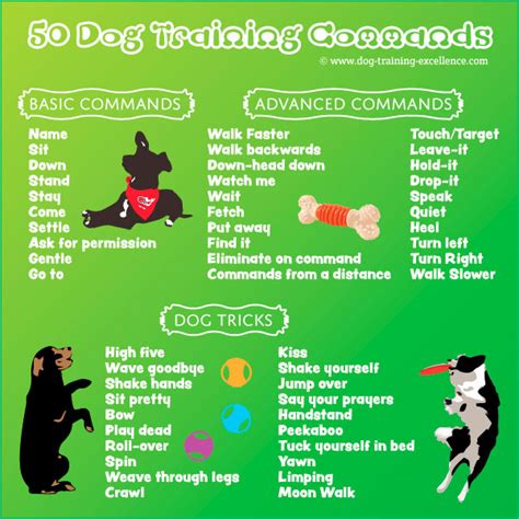 What are the 6 basic dog commands?