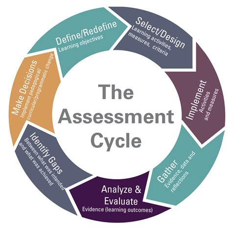 What are the 6 components of assessment?