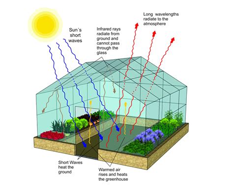 What are the 6 parts of a greenhouse?