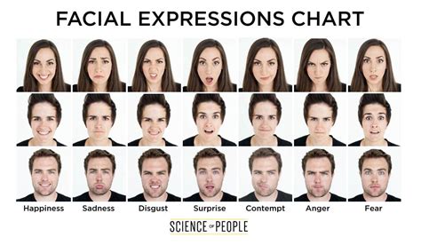 What are the 7 Microexpressions?