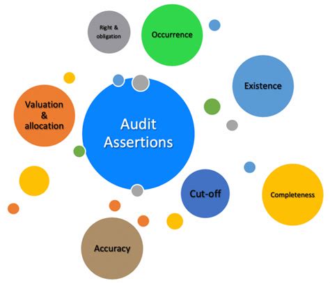 What are the 7 audit assertions?