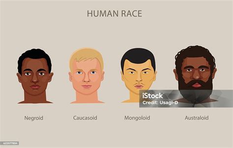 What are the 7 different races?