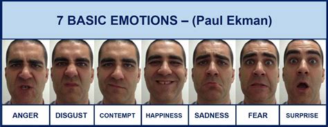 What are the 7 emotional expressions?
